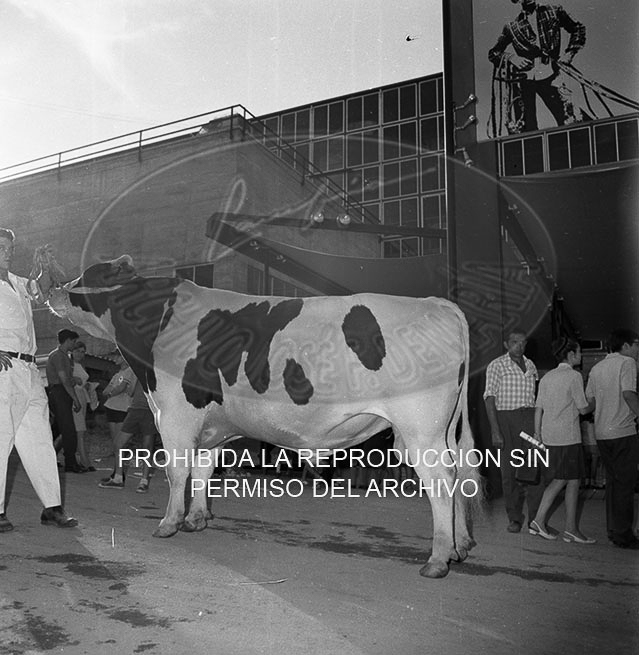 Feria del Campo 1968
