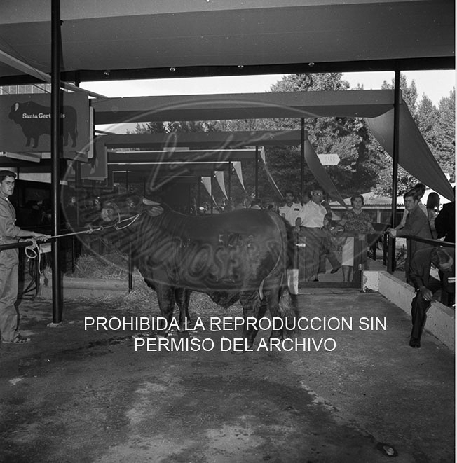 Feria del Campo 1968