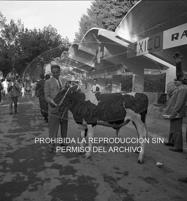 Feria del Campo 1968