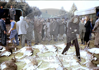 Monteria en el Pardo ofrecida al Cuerpo Diplomático