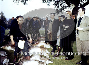 Monteria en el Pardo ofrecida al Cuerpo Diplomático