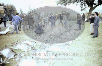 Monteria en el Pardo ofrecida al Cuerpo Diplomático