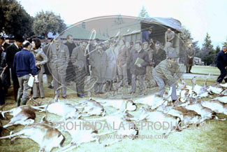 Monteria en el Pardo ofrecida al Cuerpo Diplomático