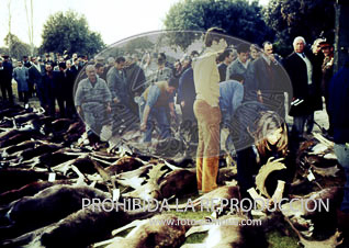 Monteria en el Pardo ofrecida al Cuerpo Diplomático