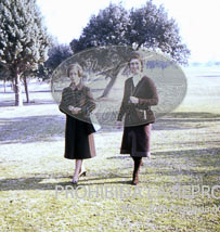 Monteria en el Pardo ofrecida al Cuerpo Diplomático