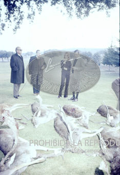 Monteria en el Pardo ofrecida al Cuerpo Diplomático