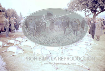 Monteria en el Pardo ofrecida al Cuerpo Diplomático