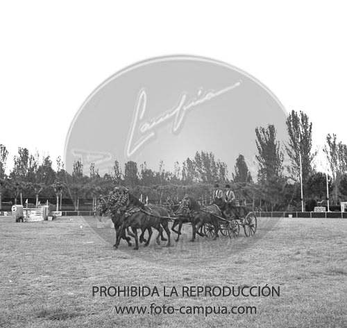 Concurso hipico en el Club de Campo de Madrid