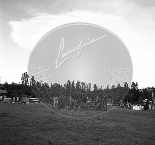 Concurso hipico en el Club de Campo de Madrid