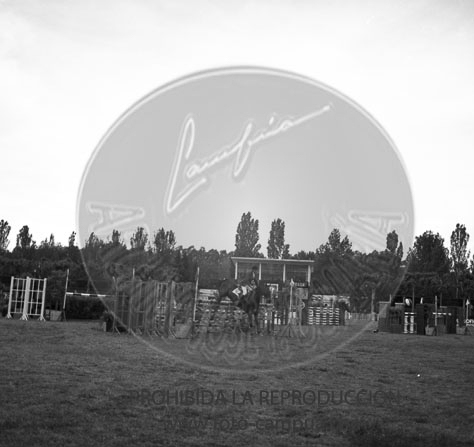 Concurso hipico en el Club de Campo de Madrid