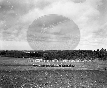 Visita de Franco a Portugal