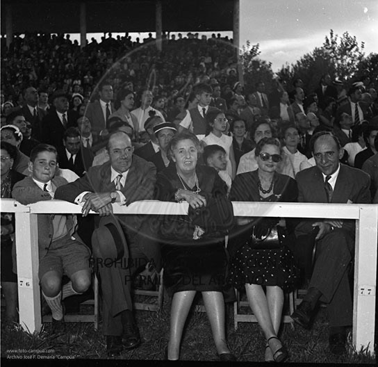 Concurso hípico en Sevilla