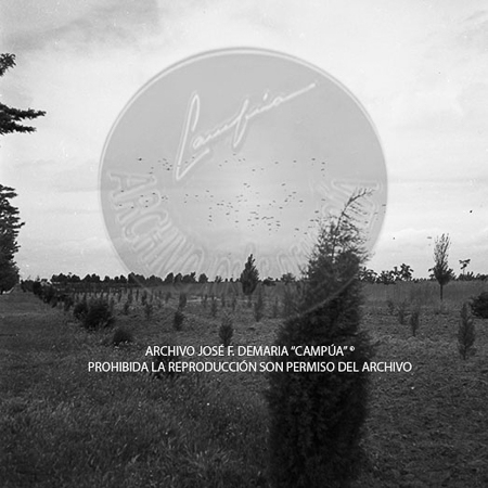 Visita del Presidente de Portugal a España, 1953