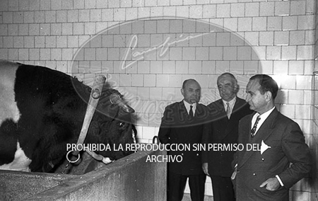 Pte. Costa Rica José Figueres